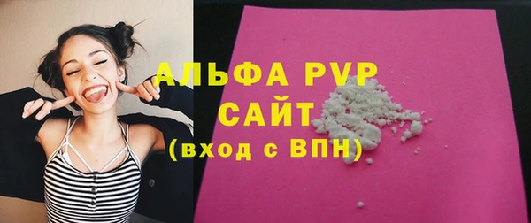 стаф Нея