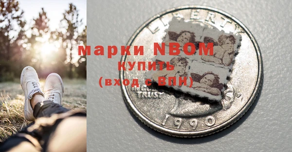 соль ск Бикин