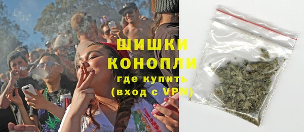 сатива Беслан