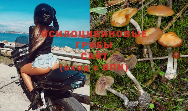 мяу мяу мука Наволоки