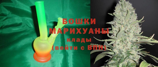стаф Нея