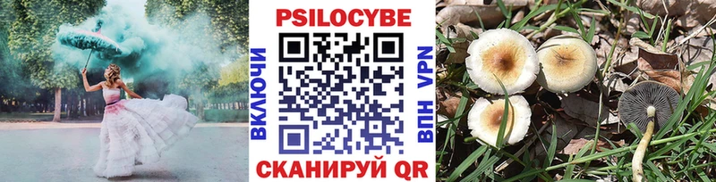 Галлюциногенные грибы прущие грибы  продажа наркотиков  Слюдянка 