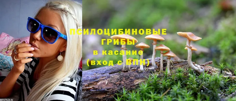 мега зеркало  магазин  наркотиков  Слюдянка  Псилоцибиновые грибы Psilocybine cubensis 